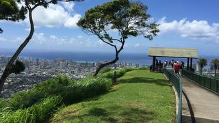 高い所が好きです！