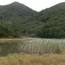 室の内池