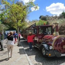 赤い車体がとてもカワイイです。