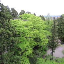 御隅櫓から見た千秋公園
