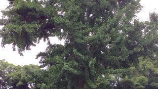 大手濠緑地の中に