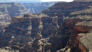 やっぱりでかい