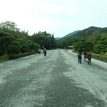 秋晴れの明るい参道。手水舎の向こうから混み合います