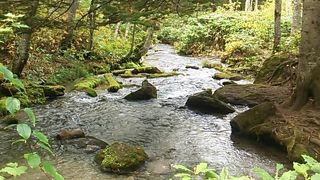 青い池と白金温泉の間にある滝