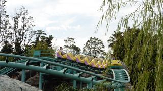 TDSの小さなコースター