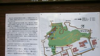 展望所に行きました。