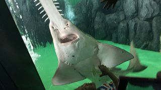 人だらけ・・・