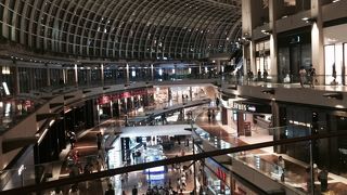 やっぱり巨大！！