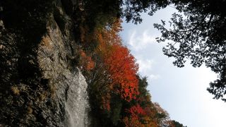 秋・・・秋色に包まれて！！