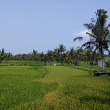 坂を登ると田園風景が…