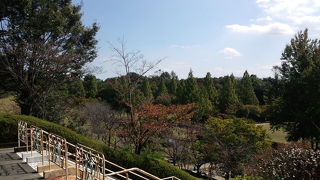 散歩するのにちょうどいい広さ。