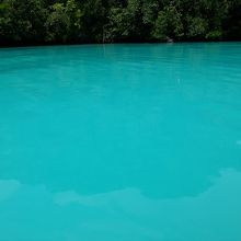 ミルキーウェイの海水には、石灰岩がたっぷり溶け込んでいます。