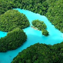 小型機遊覧飛行で見下ろすと、ミルキーウェイはこんな感じ