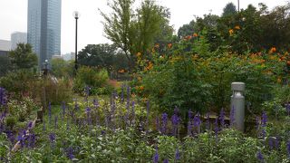 花壇がきれいに整備されていました。