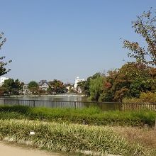 万代池公園