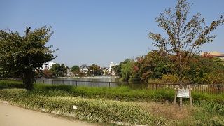 熊野街道脇のため池か