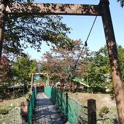 子ども用の遊具広場や水車発電小屋、吊り橋、親水公園、矢瀬遺跡などもあるし、紅葉も綺麗でした