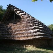 復元された縄文時代後晩期の住居や、祭祀施設は国指定史跡