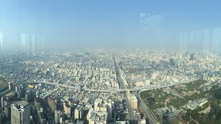 朝一が空いている