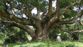 おすすめパワースポット