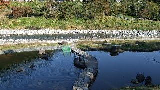 鯉のいる池を眺めたり、こどもはジャブジャブ池で安心して水遊びもできます