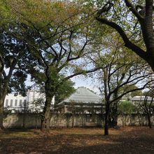上野毛自然公園からお寺