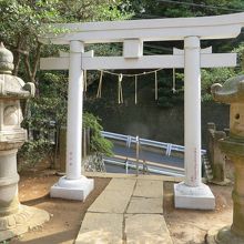 鳥居と上野毛通り