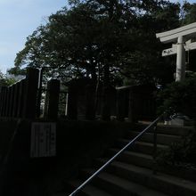 高層住宅と神社