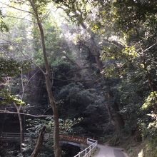 本宮までの俗世的な空気とは違った空間