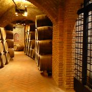 ルエダのワイナリー　エル・イロ・デ・アリアドナの地下ワイン倉庫はギリシャ神話のアドリアネの糸がテーマ
