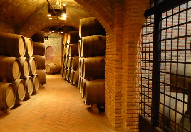ルエダのワイナリー　エル・イロ・デ・アリアドナの地下ワイン倉庫はギリシャ神話のアドリアネの糸がテーマ