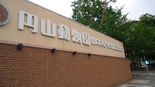 ホッキョクグマの親子