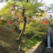 緑と滝と池もある素敵な公園