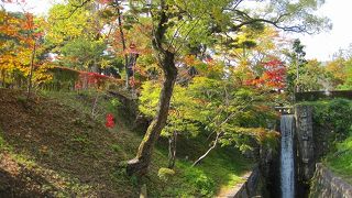 緑と滝と池もある素敵な公園