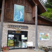 こじんまりとした小さな水族館