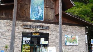 こじんまりとした小さな水族館