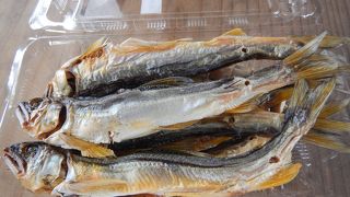 2015年10月の土曜日、欧米系外国人が次から次へとやってきました　和泉式部の碑があります