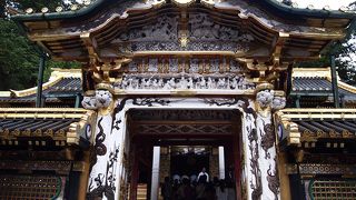 じっくりと見たいですね