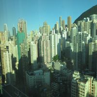 部屋の窓からは摩天楼の景観が見えました。