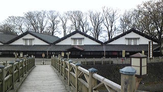 絵になるケヤキ並木