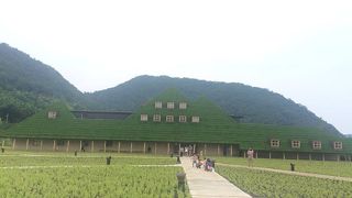 藤森照信の建築探偵好きにはたまらない空間