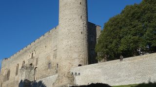 大統領官邸の裏にあります。のっぽのヘルマンに続いています。