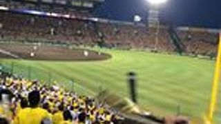 毎年行きます！