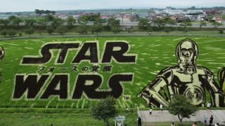 なんとすばらしいのでしょう