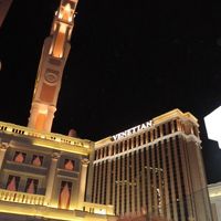 大き過ぎて映りきらなかった。