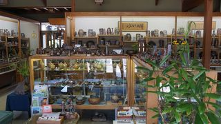 規模としてはトップクラス