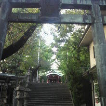 階段状の参道を上がると市谷亀岡八幡宮の本殿が見えてきます。