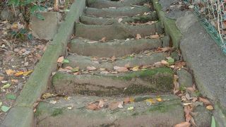 裏山の階段に歴史を感じる
