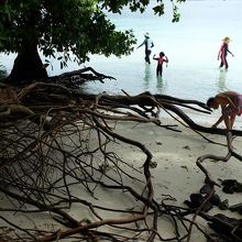 ガルメアウス島での休憩時間中は、浜辺や浅瀬を歩いてみては？