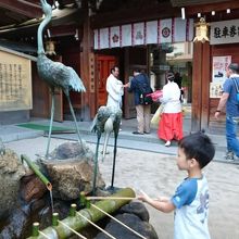 塩分の強い涌き水　しょっぱいですが飲むことが出来ます